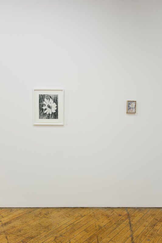 20190424 Alex Fischer Bending Towards the Sun YYZ 05 documentation